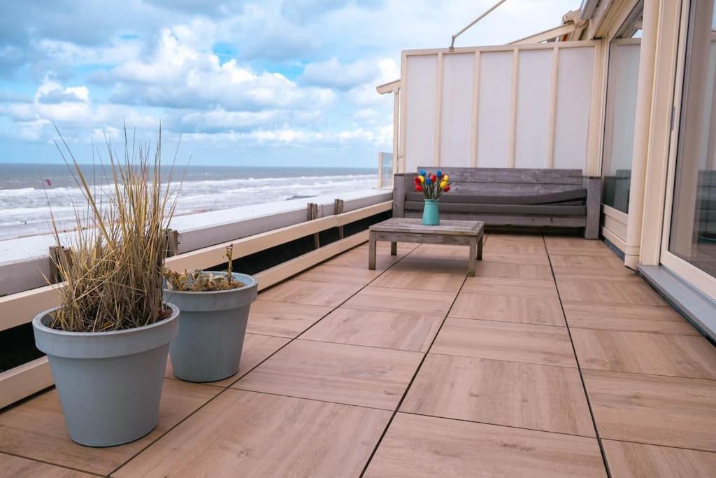 Kraaiennest Leilighet Egmond aan Zee Eksteriør bilde