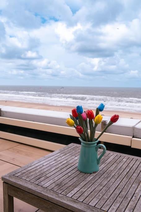 Kraaiennest Leilighet Egmond aan Zee Eksteriør bilde