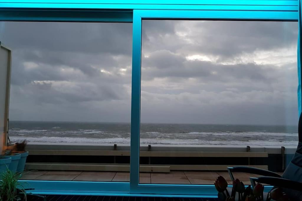 Kraaiennest Leilighet Egmond aan Zee Eksteriør bilde