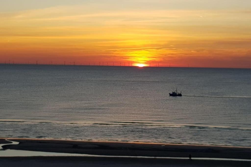 Kraaiennest Leilighet Egmond aan Zee Eksteriør bilde
