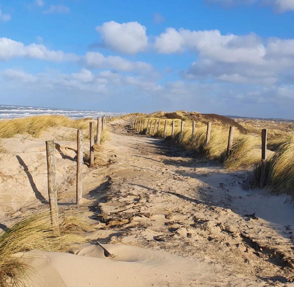 Kraaiennest Leilighet Egmond aan Zee Eksteriør bilde