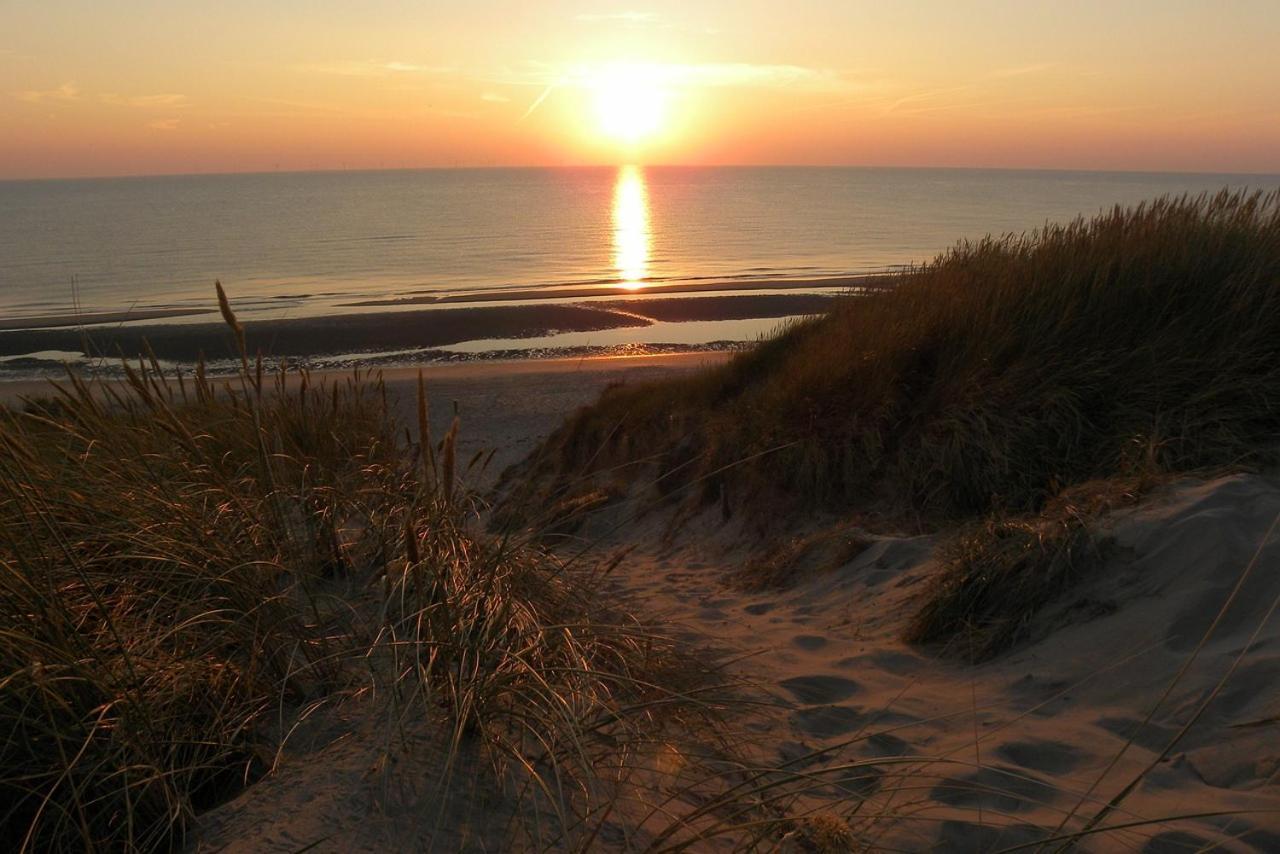 Kraaiennest Leilighet Egmond aan Zee Eksteriør bilde